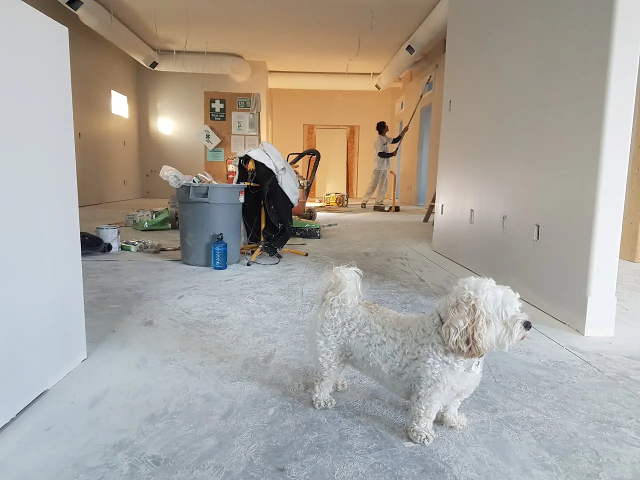 A white dog standing in the middle of a room.